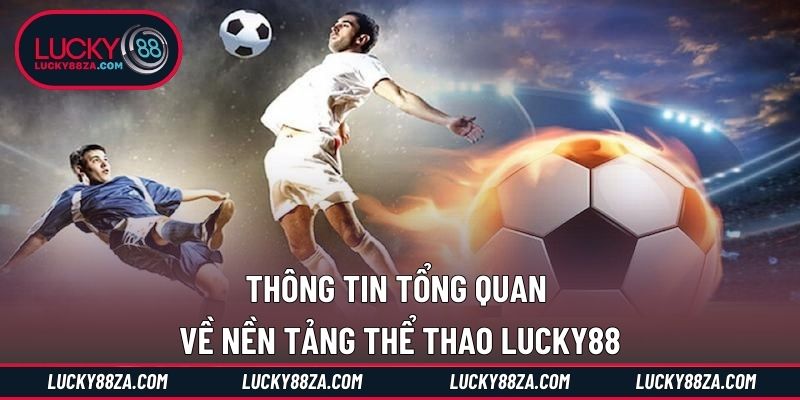 Thông tin tổng quan về nền tảng thể thao LUCKY88